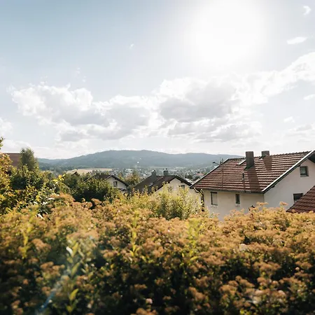 With Whirlpool And Sauna In * Viechtach
