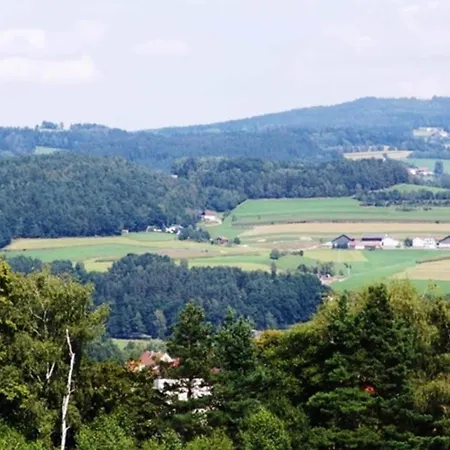 With Whirlpool And Sauna In * Viechtach