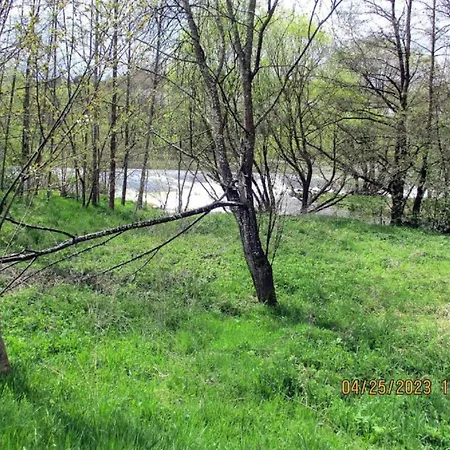 With Whirlpool And Sauna In * Viechtach